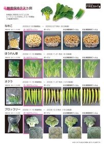 オーセロフレッシュ：P3