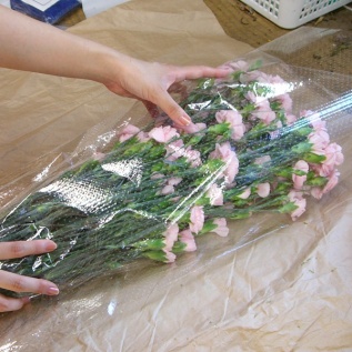 OP有孔小巻ロール：お花の包装に使用