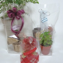 オーセロパック：ラッピングや青果以外のイメージ