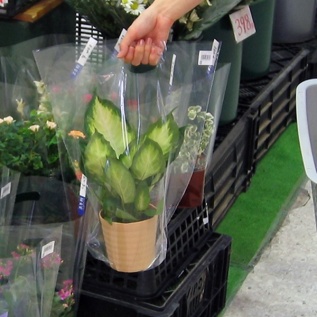 無地デコラパック：Hサイズは持ち手があってお持ち帰りに便利です