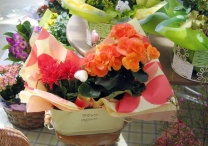 OOマカロンロール：イメージ5