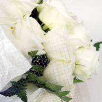 スターネット：イメージ2