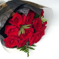 スターネット：イメージ3