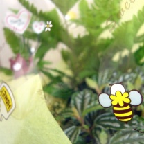 ハニービーロール：イメージ2