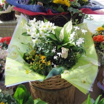 ハニービーロール：イメージ5