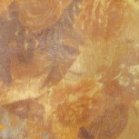 モネリボン：009.ヤマブキチャイロ