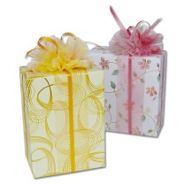 デュオリボン：イメージ3