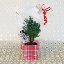 チェックデコラ：イメージ3