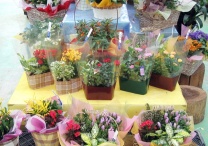 チェックデコラ：イメージ4