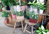 チェックデコラ：イメージ5