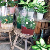 シングルカラーデコラ：イメージ3