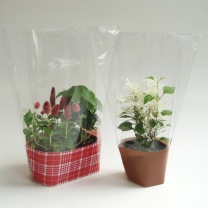 シングルカラーデコラ：イメージ4