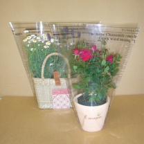 リーフタイムズデコラ：イメージ1