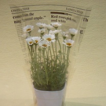 リーフタイムズデコラ：イメージ2