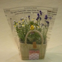 リーフタイムズデコラ：イメージ3