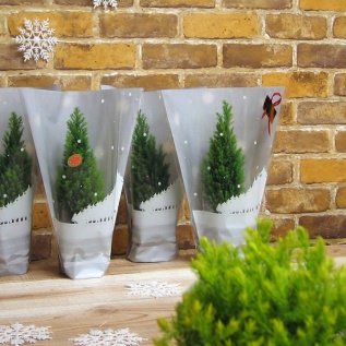 スノーフォレストデコラ：イメージ1