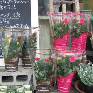 OSDポップデイズバッグ：イメージ2