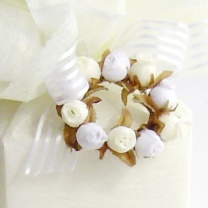 ミニローズ：イメージ2