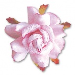 マルベリーローズ：ピンク