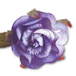 マルベリーローズ：ライラック