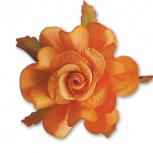 マルベリーローズ：オレンジ