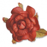 マルベリーローズ：テラコッタ