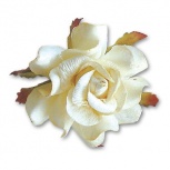 マルベリーローズ：アイボリー