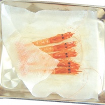 くりや：イメージ4