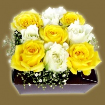 クリアキュービック用紙器：イメージ2