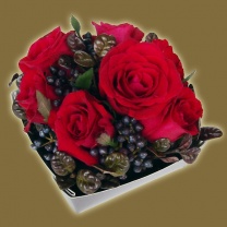 クリアキュービック用紙器：イメージ4