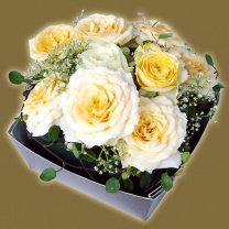 クリアキュービック用紙器：イメージ5