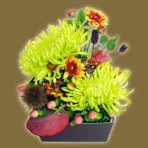 クリアキュービック用紙器：イメージ8