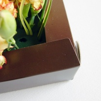 クリアキュービック用紙器：フラップアップ