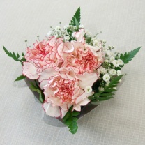 クリアキュービック用紙器：完成