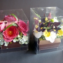 クリアキュービック用台紙：イメージ1