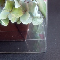 クリアキュービック用台紙：Mアップ