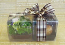 クリアキュービック用スリーブ：イメージ3