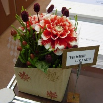 クリアキュービック用ペーパーボックス：イメージ3