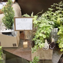 クリアキュービック用ペーパーボックス：イメージ4