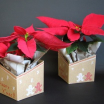 クリアキュービック用ペーパーボックス：イメージ6