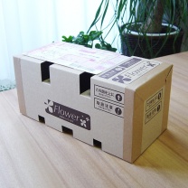 クリアキュービック用梱包段ボール：イメージ1