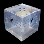 クリアキュービックボックス：Sデライト チャコール