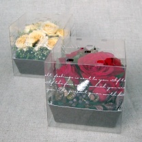 クリアキュービックボックス：イメージ2