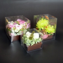 クリアキュービックボックス：イメージ4