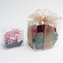 クリアキュービックボックス：イメージ3