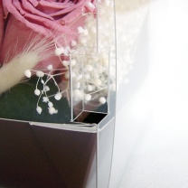 クリアキュービックボックス：押込み