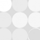 OTマカロンロール：6.ホワイト