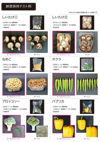 オーセロフレッシュ2011：P3