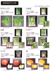 オーセロフレッシュ2011：P4