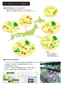 オーセロフレッシュ2011：P5